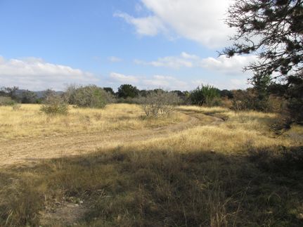 Farm and Ranch in Uvalde County, Texas