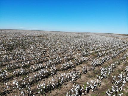 Farm and Ranch in Crosby County, Texas