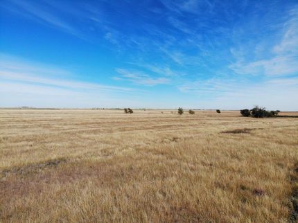 Farm and Ranch in Hale County, Texas