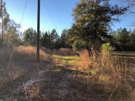 Undeveloped Land in Mobile County, Alabama