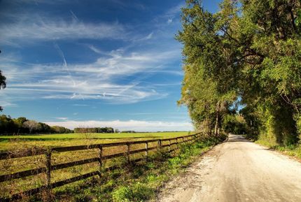 Farm and Ranch in Alachua County, Florida