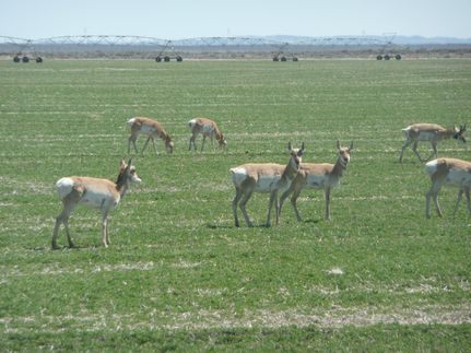 Recreational Property in Lake County, Oregon