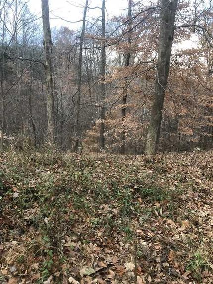 Timberland Property in Owen County, Indiana