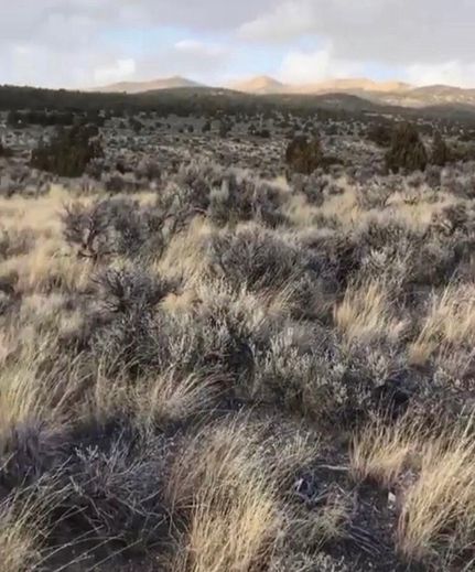 Land in Elko County, Nevada
