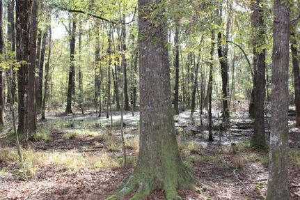 Land in Montgomery County, Alabama