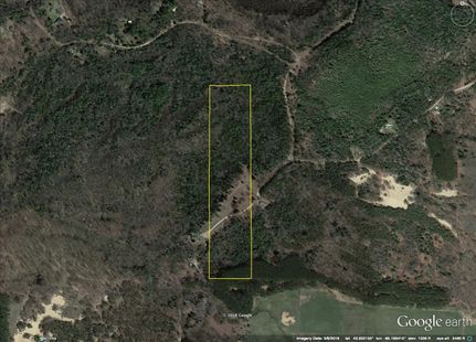 Timberland Property in Osceola County, Michigan