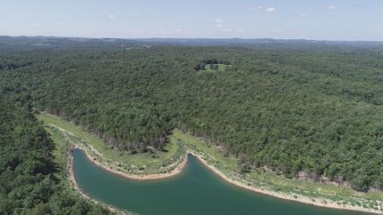 Undeveloped Land in Taney County, Missouri