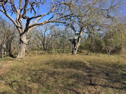 Timberland Property in Lavaca County, Texas