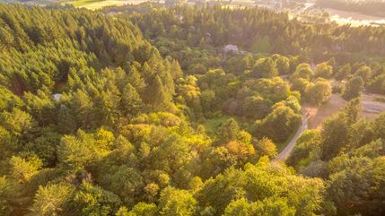 Undeveloped Land in Yamhill County, Oregon