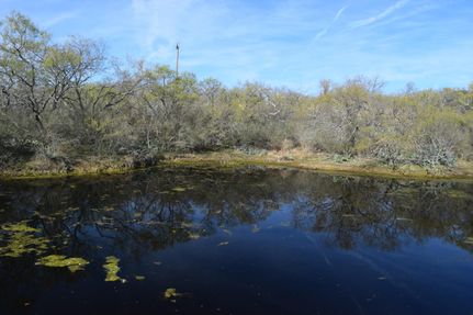 Undeveloped Land in Mason County, Texas