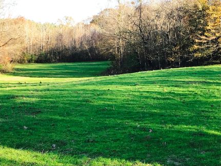 Farm and Ranch in Dallas County, Alabama
