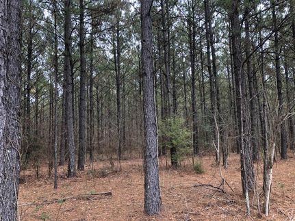 Recreational Property in Scott County, Mississippi