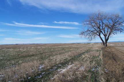 Farm and Ranch in Custer County, South Dakota