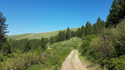 Recreational Property in Columbia County, Washington