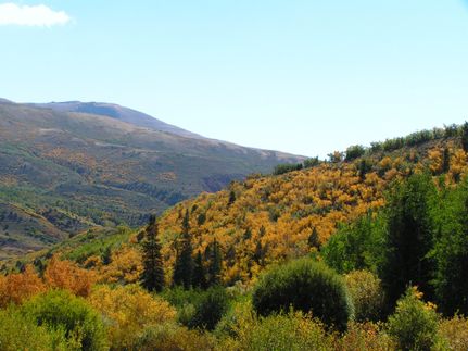 Undeveloped Land in Duchesne County, Utah