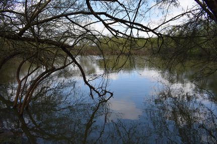 Commercial Property in Jim Wells County, Texas