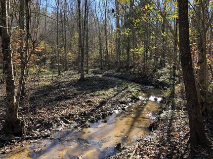 Land in Colleton County, South Carolina