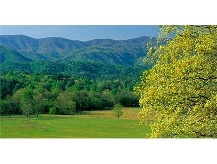 Land in Caldwell County, North Carolina