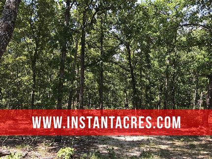 Hunting Property in Douglas County, Missouri