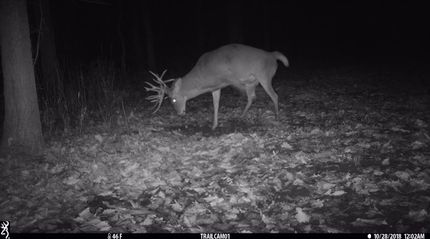 Waterfront Property in Iowa County, Wisconsin