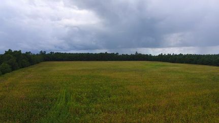 Hunting Property in Columbus County, North Carolina