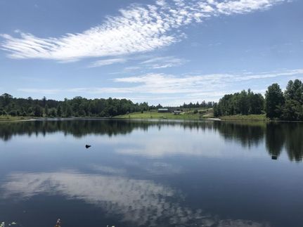 Hunting Property in Richmond County, North Carolina