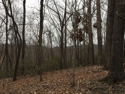 Recreational Property in Greenville County, South Carolina
