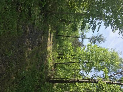 Recreational Property in Juniata County, Pennsylvania