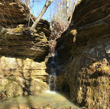 Undeveloped Land in Douglas County, Missouri