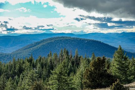 Timberland Property in Jefferson County, Oregon