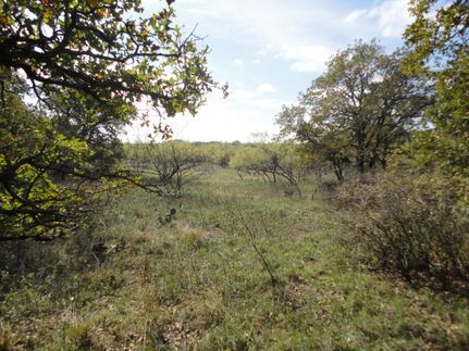 Land in Jack County, Texas