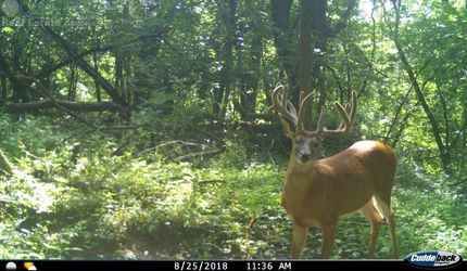 Farm and Ranch in Monroe County, Wisconsin