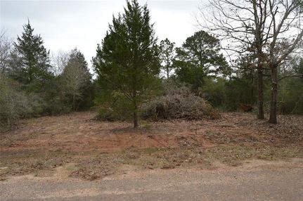 Undeveloped Land in Waller County, Texas