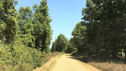 Land in Wright County, Missouri