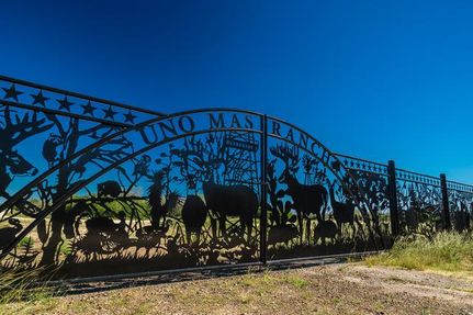 Commercial Property in La Salle County, Texas