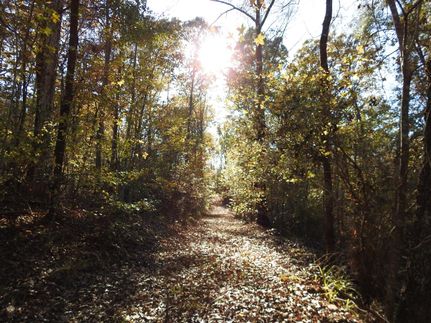 Recreational Property in Tallapoosa County, Alabama