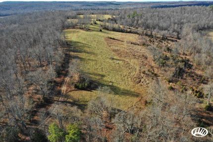 Timberland Property in Caldwell County, Kentucky