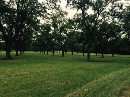 Farm and Ranch in Sumter County, Georgia