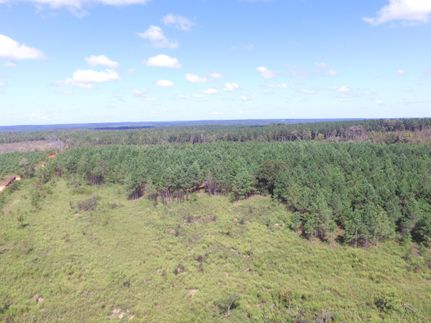 Land in Stewart County, Georgia