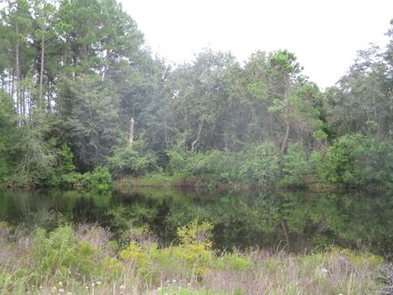 Farm and Ranch in Pierce County, Georgia