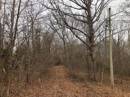 Farm and Ranch in Green County, Kentucky