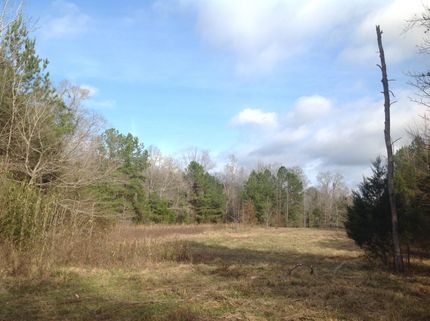 Farm and Ranch in Perry County, Alabama