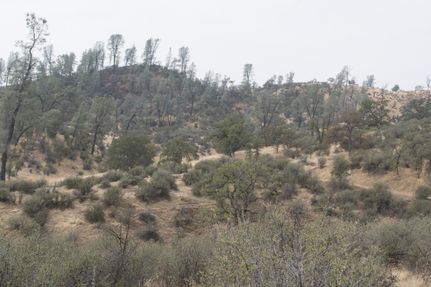 Land in Shasta County, California