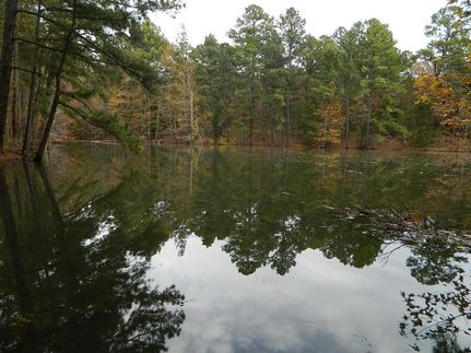 Timberland Property in Smith County, Texas