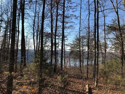 Land in Russell County, Kentucky