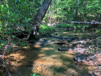 Undeveloped Land in Albemarle County, Virginia