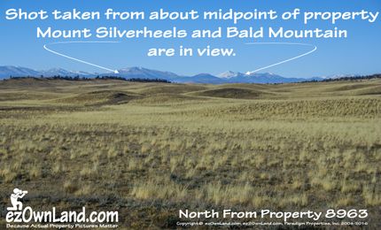 Undeveloped Land in Park County, Colorado