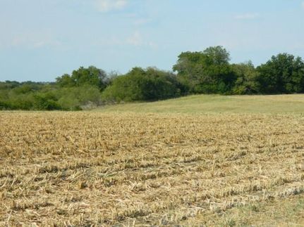 Farm and Ranch in Ellis County, Texas