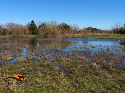 Undeveloped Land in McLennan County, Texas