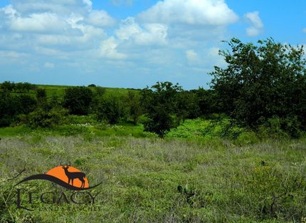 Undeveloped Land in Hill County, Texas